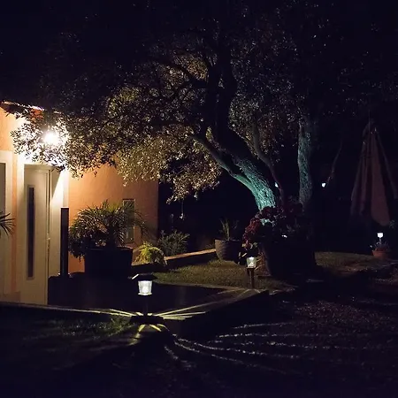 Apartma Seca
