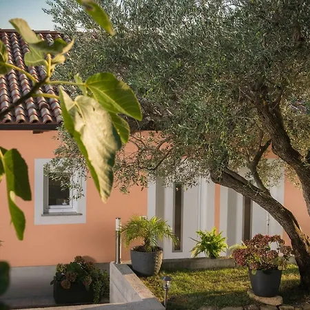Apartamento Apartma Seca *
