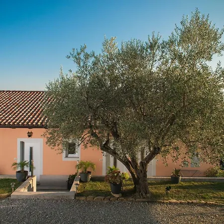 Apartma Seca Apartment