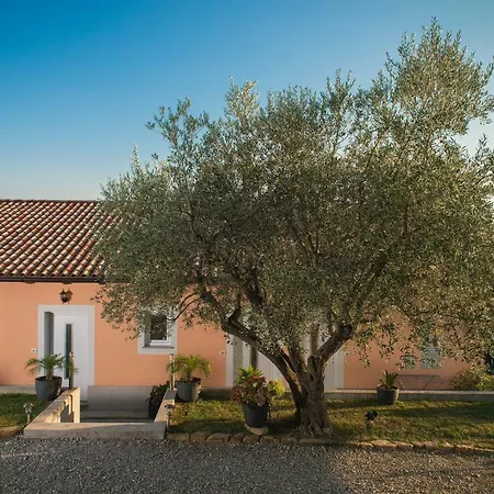 Apartma Seca Διαμέρισμα