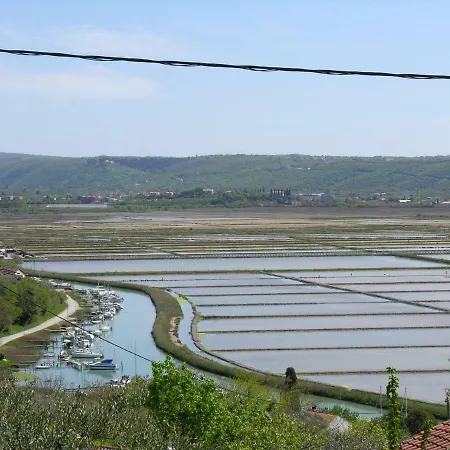 Apartment Apartma Seca *