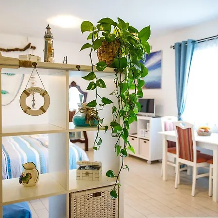 Apartma Seca Apartment