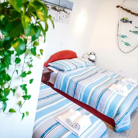 Apartma Seca