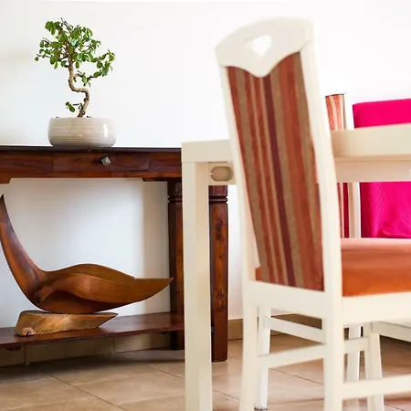 公寓 Apartma Seca 波尔托罗