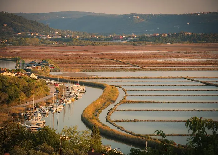 Daire Apartma Seca Portorož