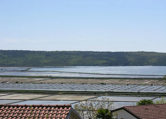 Daire Apartma Seca Portorož