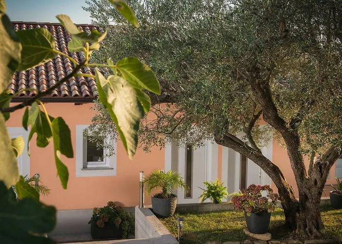 Apartment Apartma Seca *