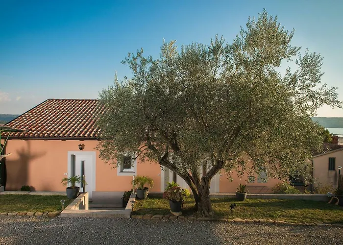 Apartma Seca Apartment