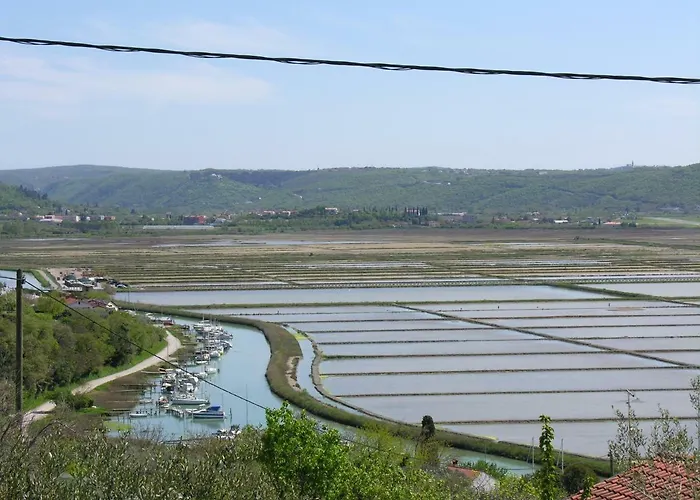 Daire Apartma Seca *