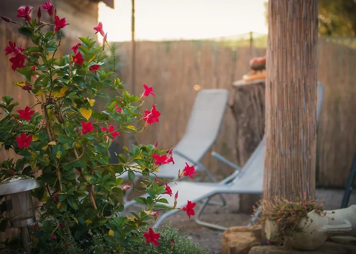 Apartma Seca Πορτορόζ