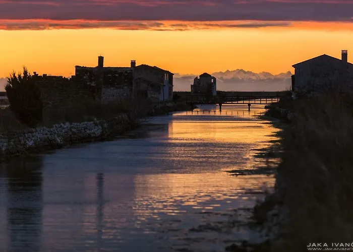 Διαμέρισμα Apartma Seca *